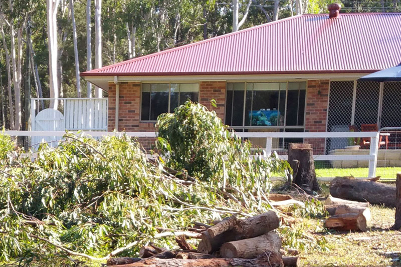 Tree Services Newcastle