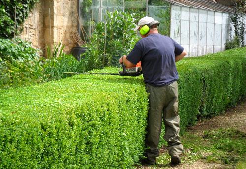 Stump Grinding Newcastle