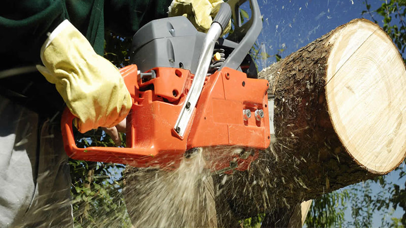 Tree Pruning Newcastle
