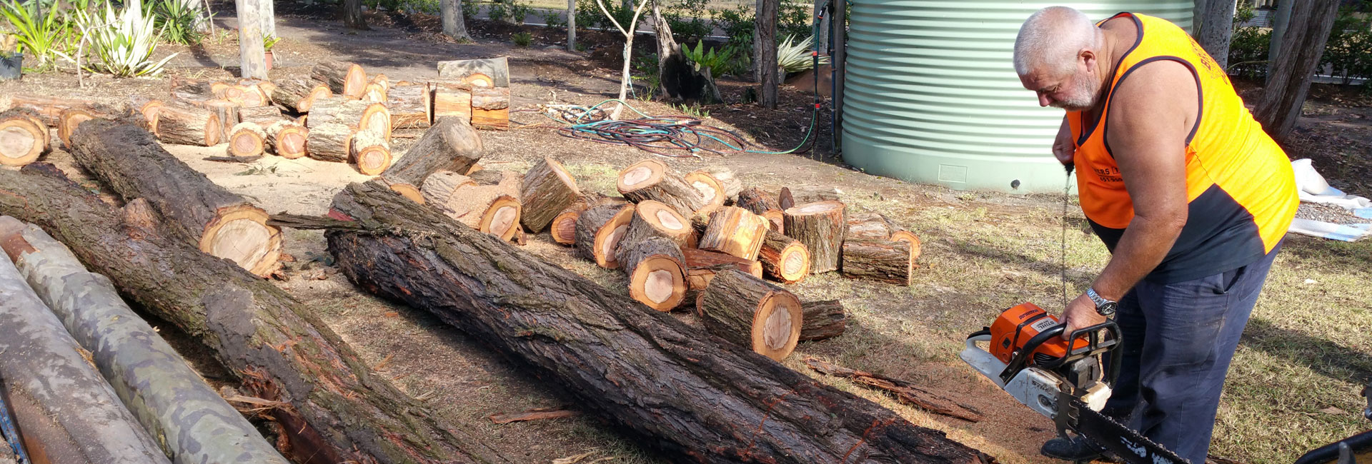 Tree Removal Newcastle