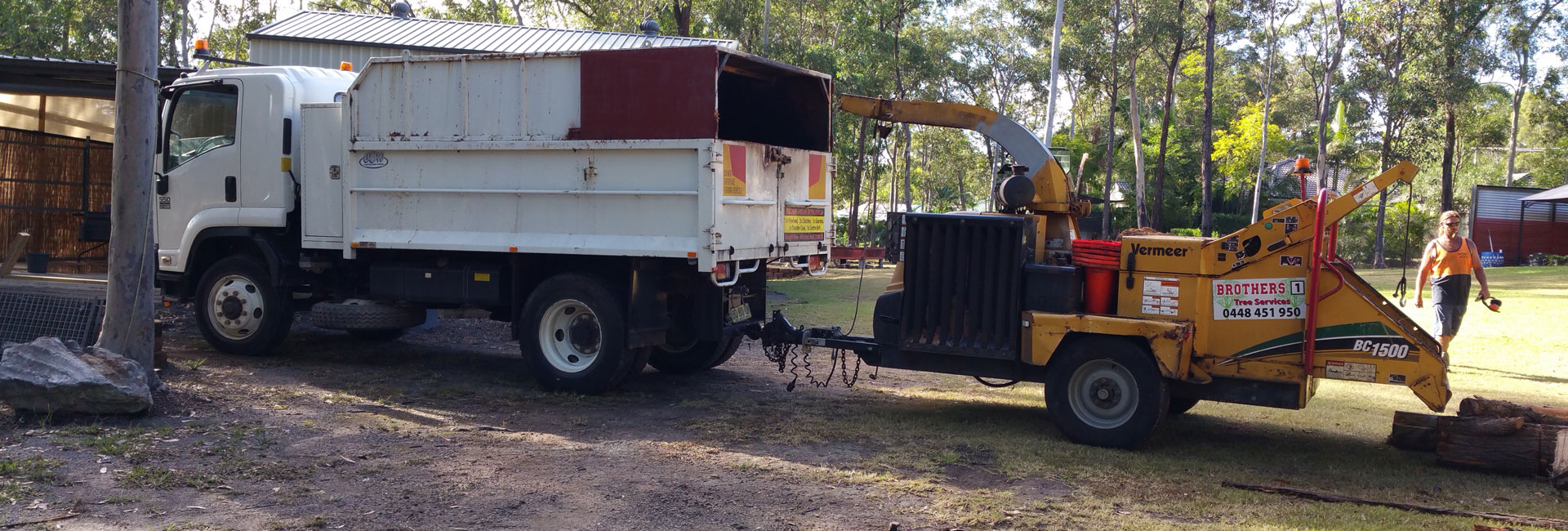 Tree Services Newcastle